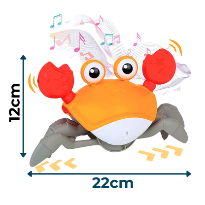 2u1 Muzička Kraba - igračka za decu